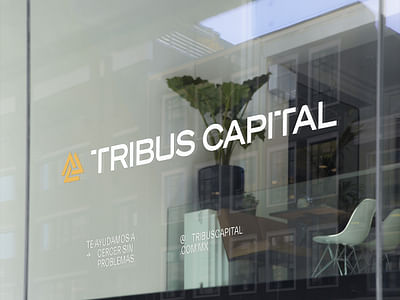 Tribus Capital | Branding - Branding y posicionamiento de marca
