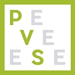 PVSAgencia