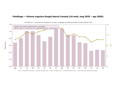 FotoDiego: e-commerce con oltre 9.000 prodotti, visibile su Google - SEO