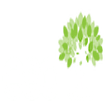 ESD - IT Consulting | Rooted in Healthcare