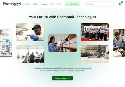 Logo & Website Redesign for Chemical Additives Manufacturer - Creación de Sitios Web