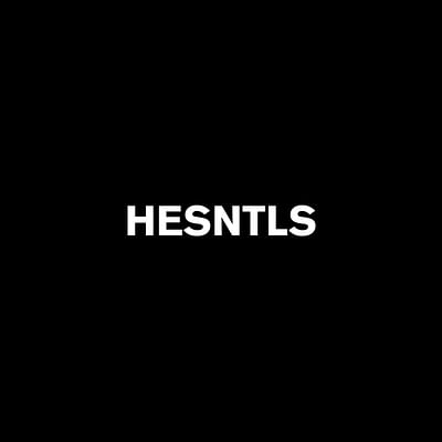 Hesntls online store - Webseitengestaltung
