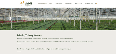 Branding, packaging y web. - E-commerce