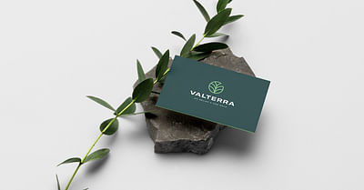 Refonte de l'identité de marque VALTERRA - Création de site internet