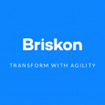Briskon Technologies Pvt Ltd