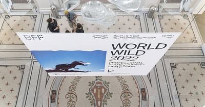 Ausstellungsdesign BFF World Wild 2022 - Image de marque & branding