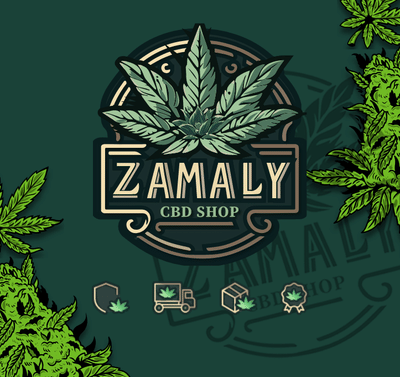 Zamaly : Création de site / SEO / Community management - Ontwerp