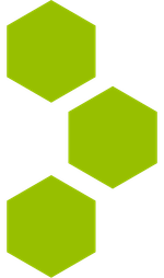 D2X