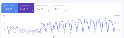 Google Ads and SEO-campaign for a service provider - Digital Strategy