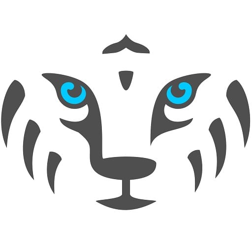 Newnet - Agence Web