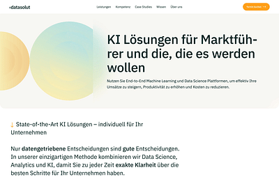 Website + Corporate Design (Datasolut) - Website Creation