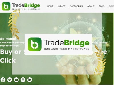 Mobile and Web App Development - TradeBridge - App móvil