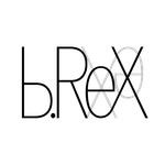 b.ReX GmbH logo