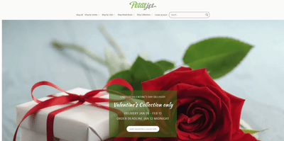 Petaljet full-cycle + A/I SEO optimisation - SEO
