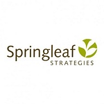 Springleaf Strategies