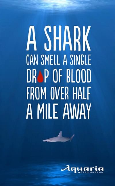 Wet facts, Shark - Advertising