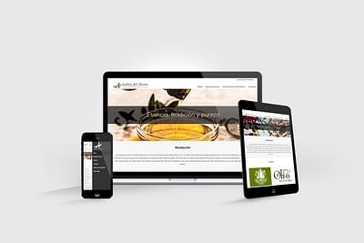 Imagen Corporativa y Diseño Web Molino del Álamo - E-commerce