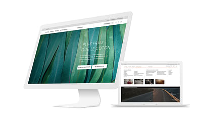 Icebreaker - E-commerce