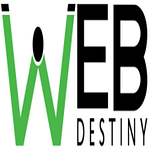 Web Development Company in India -Webdestiny Solutions