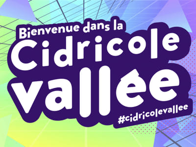 LES CIDRES DE LOIRE - Stratégie digitale - Stratégie digitale