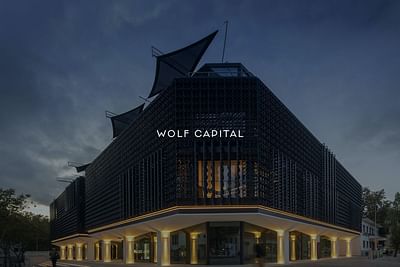 Wolf Capital - Real Estate Developer - Digitale Strategie