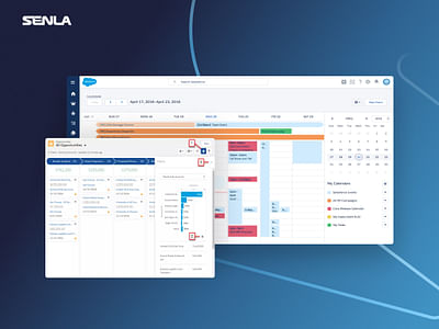 Customization of a CRM system for a pharma company - Cloud Consulting