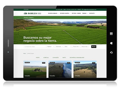 Portal Inmobiliario: Robles Casas Campos - Digitale Strategie