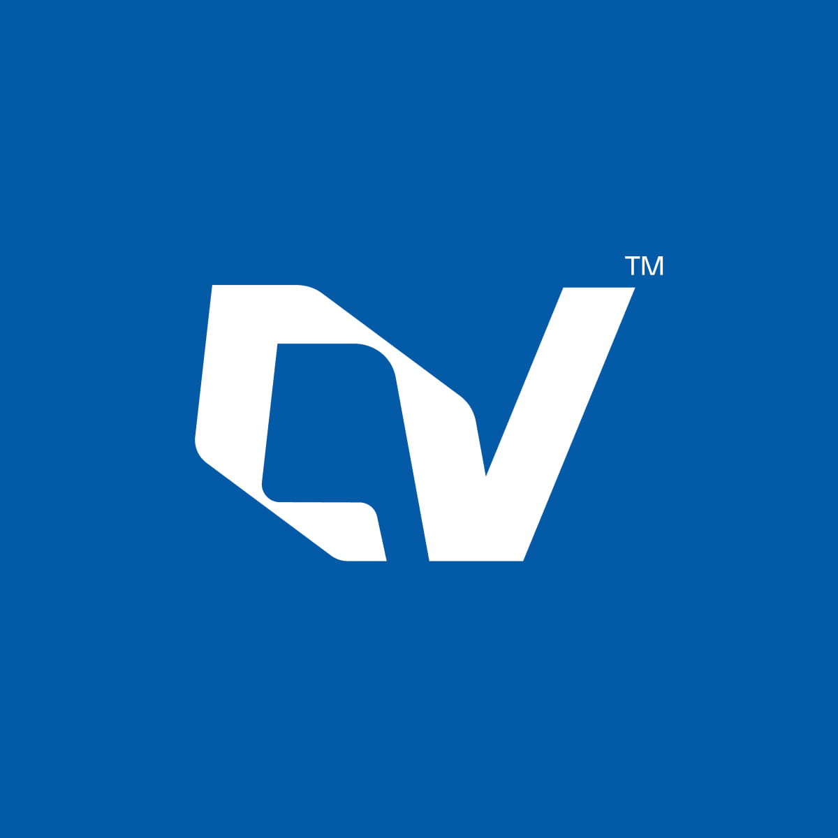 Digital Vision