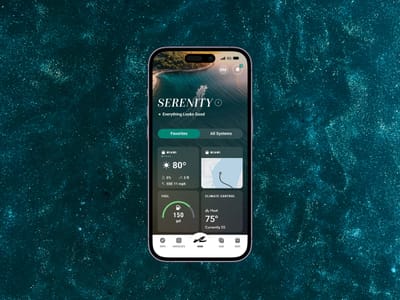 Brunswick Connected Boating - Digital Strategy
