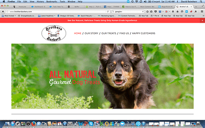 Brothers Barkery Website Build - Branding & Positioning
