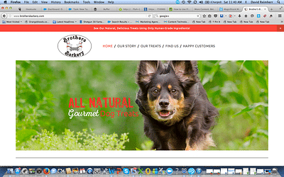 Brothers Barkery Website Build