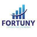 Fortuny Consulting Gmbh logo
