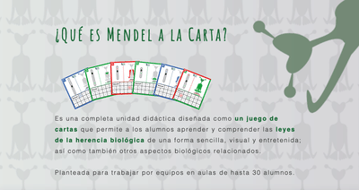 Landing page - Publicidad Online