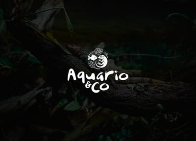 Aquario&Co – Rebranding and PrestaShop Revamp - Branding & Positioning