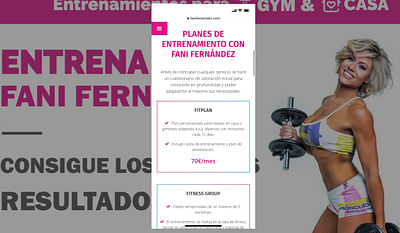 SEO y diseño web para Fani Fernández. - Creación de Sitios Web