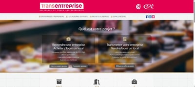 Transentreprise : campagne LinkedIn, Facebook et emailing - Publicité en ligne