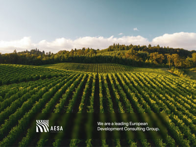 A new website with global impact for AESA - Administration web