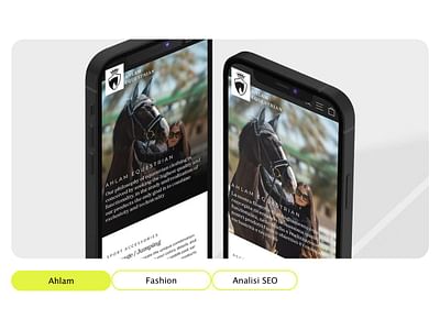 Ahlam Equestrian - Analisi SEO - SEO