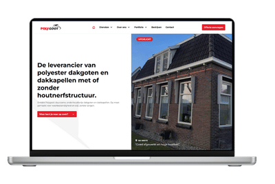 Conversiegerichte website voor Polygoot - Onlinewerbung