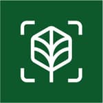 Cows In Trees logo