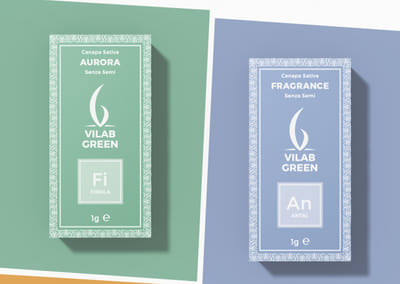 Pack Vilab - Packaging