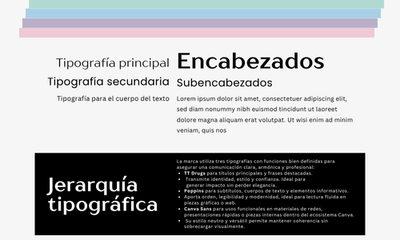 Brand Kit - Evelyn Carmona - Marketing