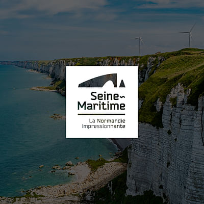 ACCOMPAGNEMENTMARKETING DIGITAL: Seine-Maritime - Media Planning
