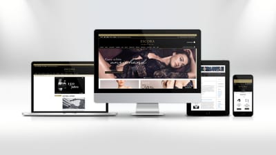 ESCORA – In sinnlicher Gesellschaft - Ergonomie (UX/UI)