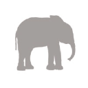 The Baby Elephant