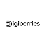 Digiberries Paris - Agence de référencement web
