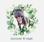 Mooney and Sage logo