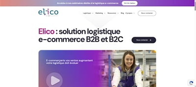 Elico : référencement et Google Ads d'un logisticien e-commerce - Référencement naturel