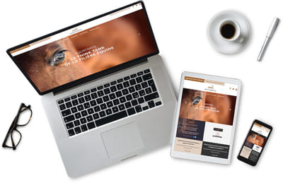 Création de site Internet Equistratis - E-commerce