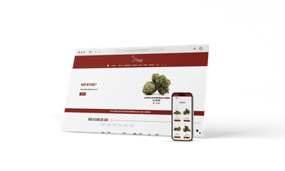 Création de site e-commerce | La French CBD - E-commerce